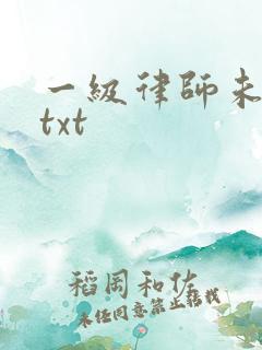 一级律师未删减txt