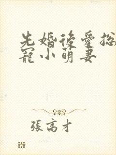 先婚后爱总裁蜜宠小萌妻