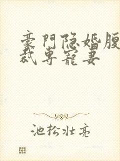 豪门隐婚腹黑总裁专宠妻