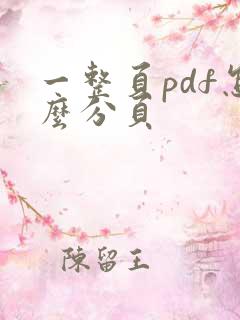 一整页pdf怎么分页