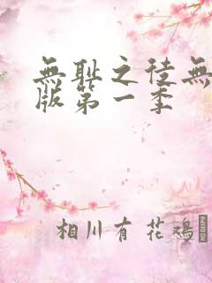 无耻之徒无删减版第一季