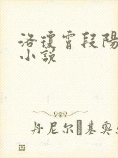 洛琼霄段阳澍的小说