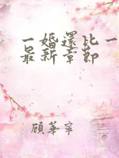 一婚还比一婚高最新章节