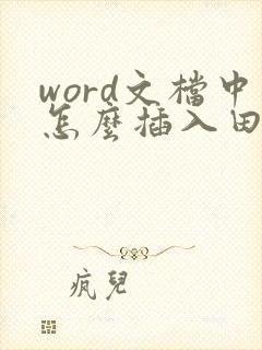 word文档中怎么插入田字格