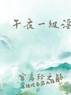 午夜一级淫片