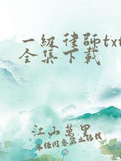 一级律师txt全集下载