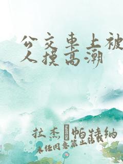 公交车上被陌生人摸高潮