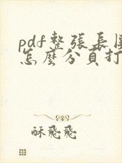 pdf整张长图怎么分页打印