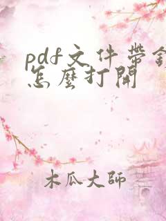 pdf文件带锁怎么打开