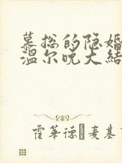 慕总的隐婚罪妻温尔晚大结局
