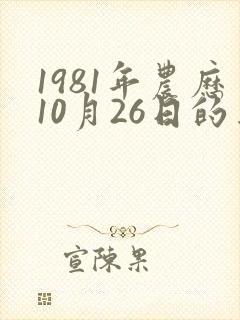 1981年农历10月26日的算命