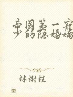 帝国第一宠:霍少的隐婚娇妻