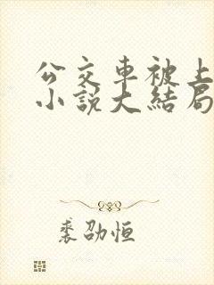 公交车被上高潮小说大结局
