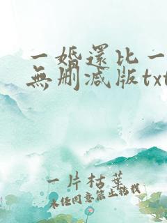 一婚还比一婚高无删减版txt