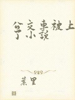 公交车被上高潮了小说