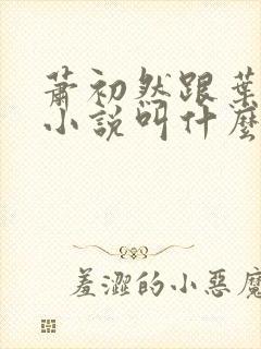 萧初然跟叶辰的小说叫什么