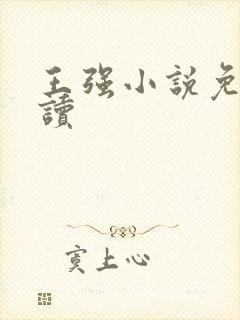 王强小说免费阅读