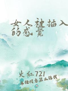 女人被插入阴道的感觉