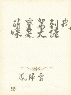萌宝驾到我的妈咪是大佬