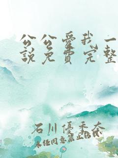 公公爱我一次小说免费完整版阅读