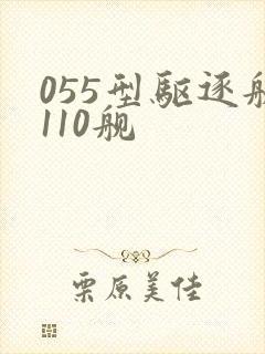 055型驱逐舰110舰
