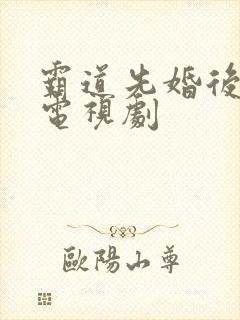 霸道先婚后爱的电视剧