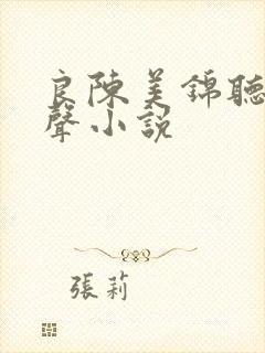 良陈美锦听书有声小说