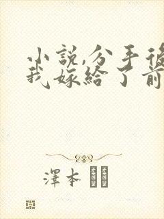 小说,分手后,我嫁给了前男友的小叔