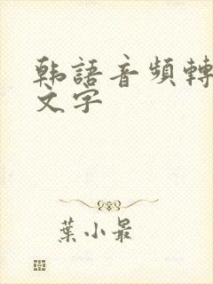 韩语音频转化成文字