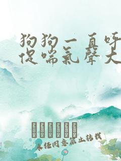 狗狗一直呼吸急促喘气声大