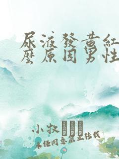 尿液发黄红是什么原因男性