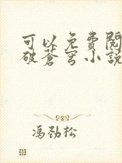 可以免费阅读斗破苍穹小说的软件