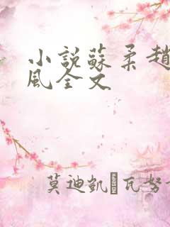 小说苏柔赵刚林风全文