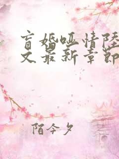 盲婚哑情陆彻全文最新章节免费阅读