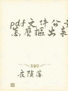pdf文件公章怎么抠出来