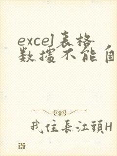 excel表格数据不能自动求和