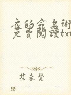 夜的命名术小说免费阅读txt下载