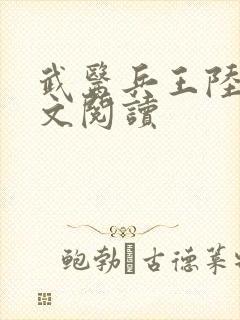 武医兵王陆轩全文阅读