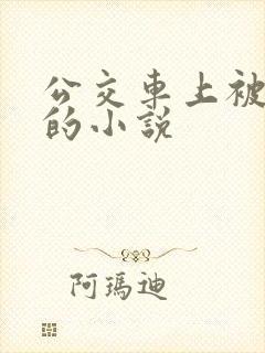 公交车上被插入的小说