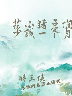 花小猪免佣卡多少钱一个月