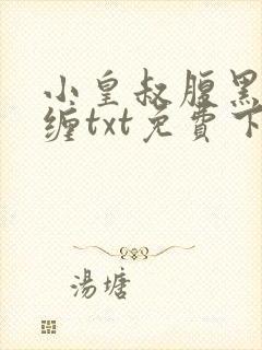 小皇叔腹黑又难缠txt免费下载