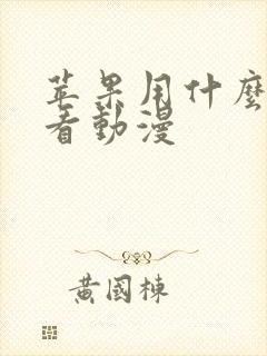 苹果用什么软件看动漫