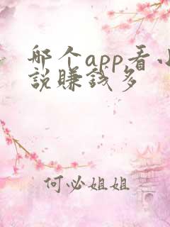 哪个app看小说赚钱多