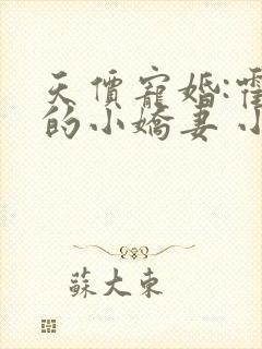 天价宠婚:霍总的小娇妻 小说