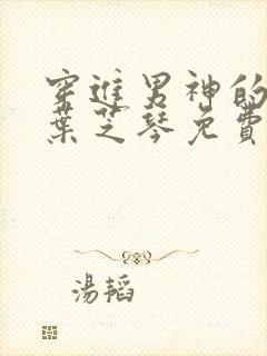 穿进男神的梦里叶芝琴免费阅读