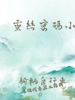 灵丝密码小说