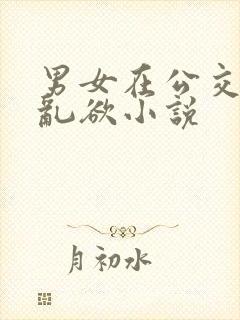 男女在公交车上乱欲小说