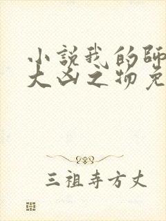 小说我的师娘是大凶之物免费阅读