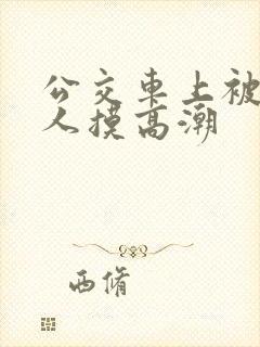 公交车上被陌生人摸高潮