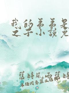 我的弟弟是天选之子小说免费阅读无弹窗
